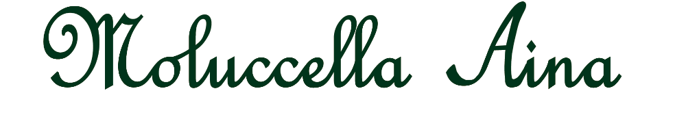 モルセラアイナロゴ