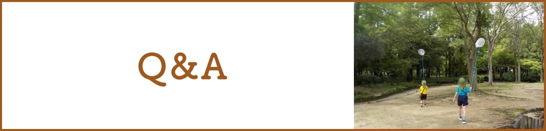 Q&A
