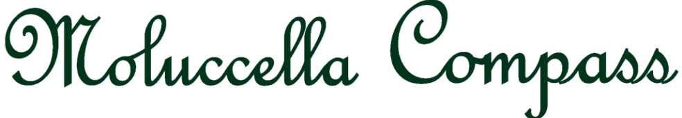 モルセラコンパスロゴ