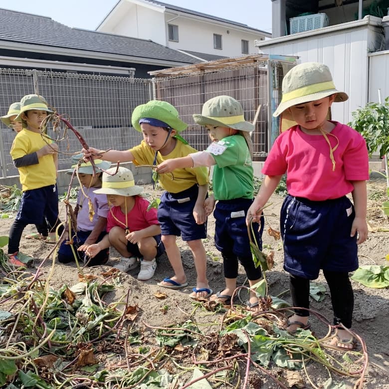 モルセラ保育園スライダー4